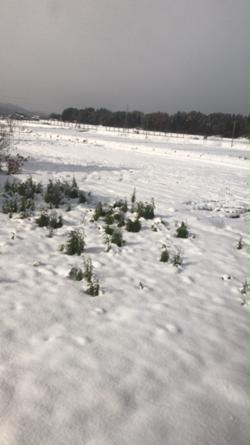 赤い雪ロケ地の新庄市の雪景色