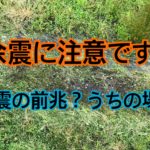 地震の前兆？うちの場合