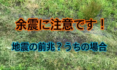 地震の前兆？うちの場合